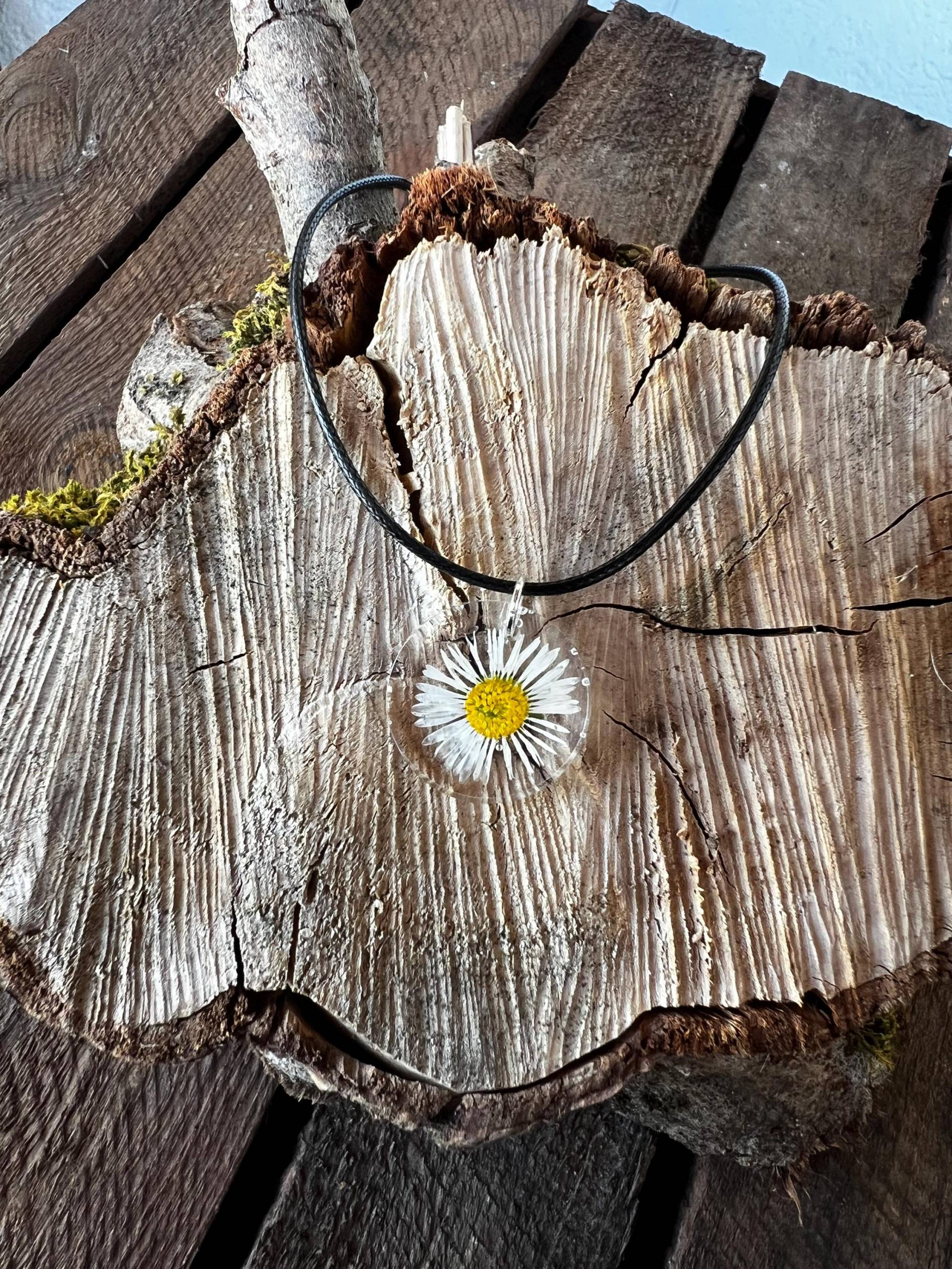 Gänseblümchen Kettenanhänger | S Halskette Natur Blume Blüte Schmuck Anhänger - Geburtsblume, Erinnerung, Geschenkidee Muttertag, Geburtstag Gänseblümchen Kettenanhänger | S Halskette Natur Blume Blüte Schmuck Anhänger - Geburtsblume, Erinnerung, Geschenkidee Muttertag, Geburtstag von LilithKreativeStudio