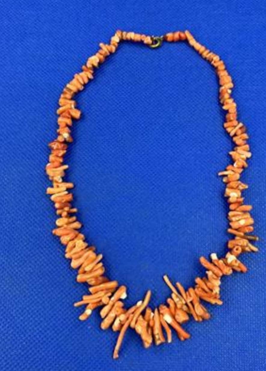 Korallenkette/Astkorallen von Lilli122022