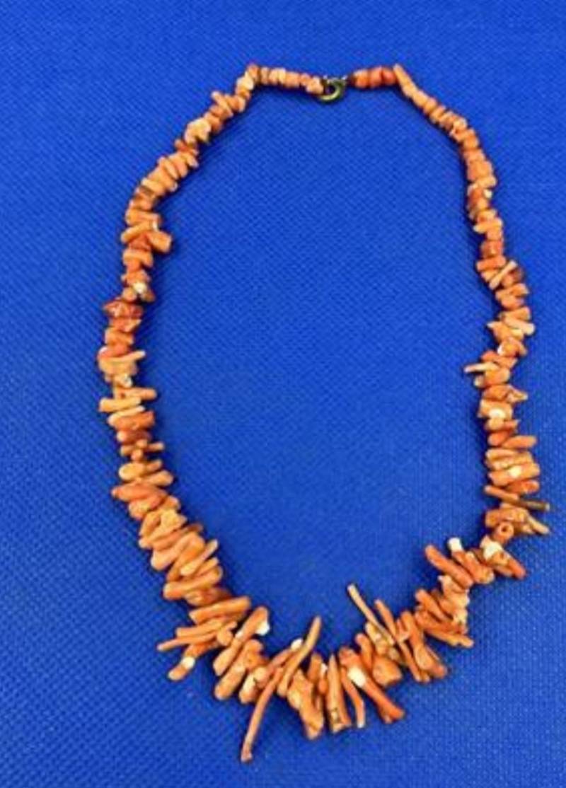 Korallenkette/Astkorallen von Lilli122022