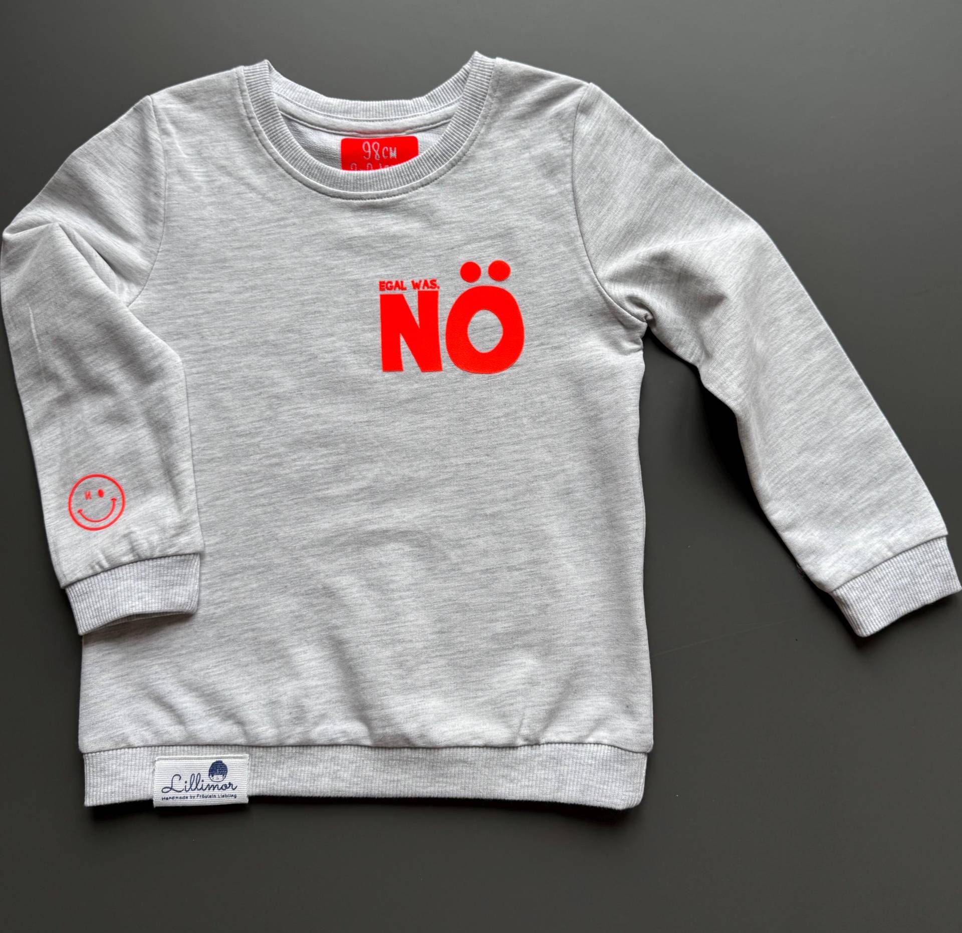 Kinderpullover, Sweater, Personalisiert Kindersweater Flockdruck, Cooler Spruch, Personalisiert Kinderpullover, Sweater, Personalisiert Kindersweater Flockdruck, Cooler Spruch, Personalisiert von LillimorbyFL