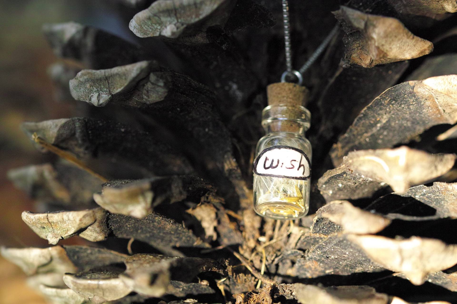 Anhänger Fläschchen Wish -Löwenzahn Anhänger Fläschchen Wish -Löwenzahn von Lilymagicreation