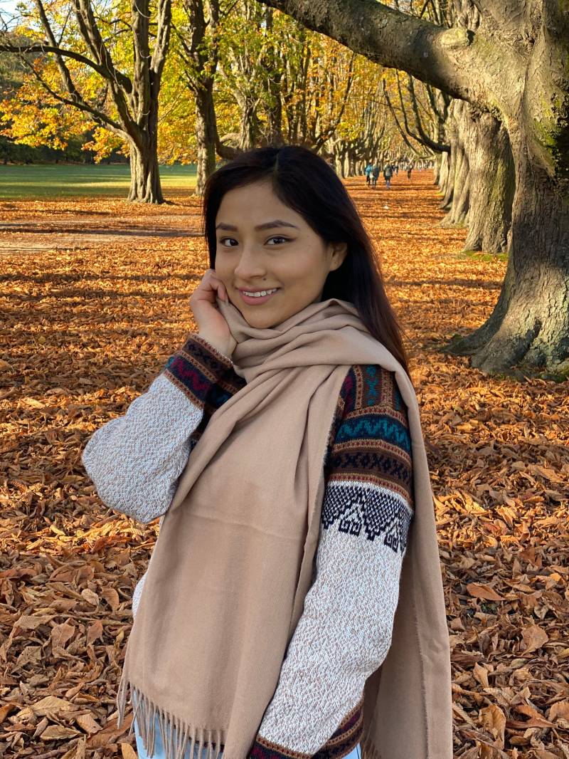 Hellbraune Pashmina Aus Alpakawolle, Unisex Für Männer & Frauen - Extra Weich, Winddicht, Made in Peru, Winddichter Wickelschal, Wollschal von Limalpa