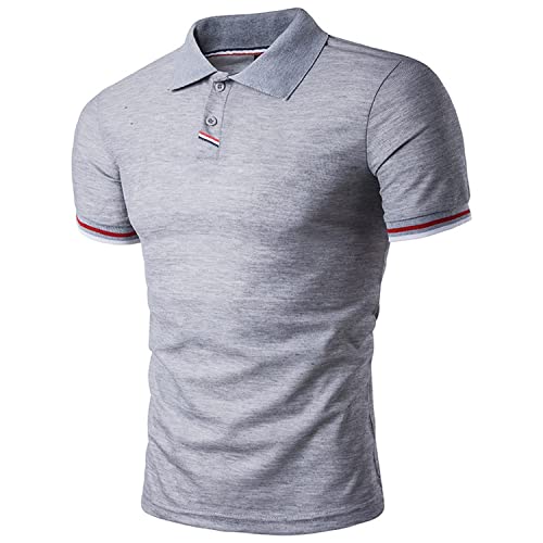 Linarun Poloshirt Herren Kurzarm Polohemd aus 100% Baumwolle Herren Regular Fit Polo mit Knopfleiste (L, Grau) von Linarun