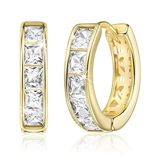 Linawe Kleine Creolen Gold, Mini Piercing Ring Ohrhänger Jewelry, Helix Ring Creolen Vergoldet Huggies Ohrringe, Damenohrringe Hypoallergene Schmuck von Linawe