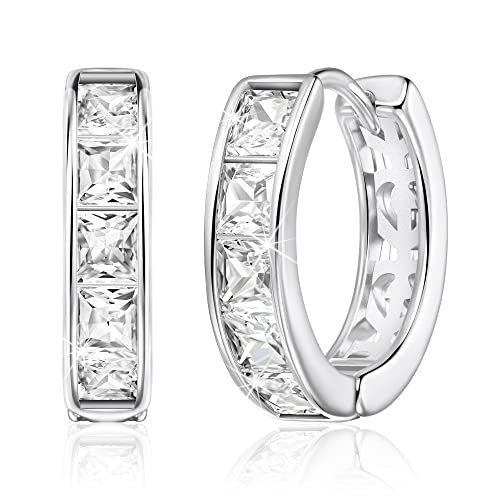 Linawe Kleine Creolen Helix Ring Ohrringe Damen Silber, Helix Piercings Schmuck Piercing Ohr, Ohrstecker Damenohrringe Ohrringe Hängend, Conch Piercing Ohringe Jewelry von Linawe