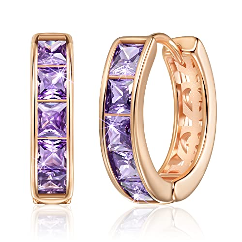 Linawe Lila Mini Creolen Piercing Ring, Kleine Creolen Rosegold Schmuck Helix Piercings, Ohrstecker Piercing Ohr Damen, Conch Piercing Ohringe Jewelry von Linawe