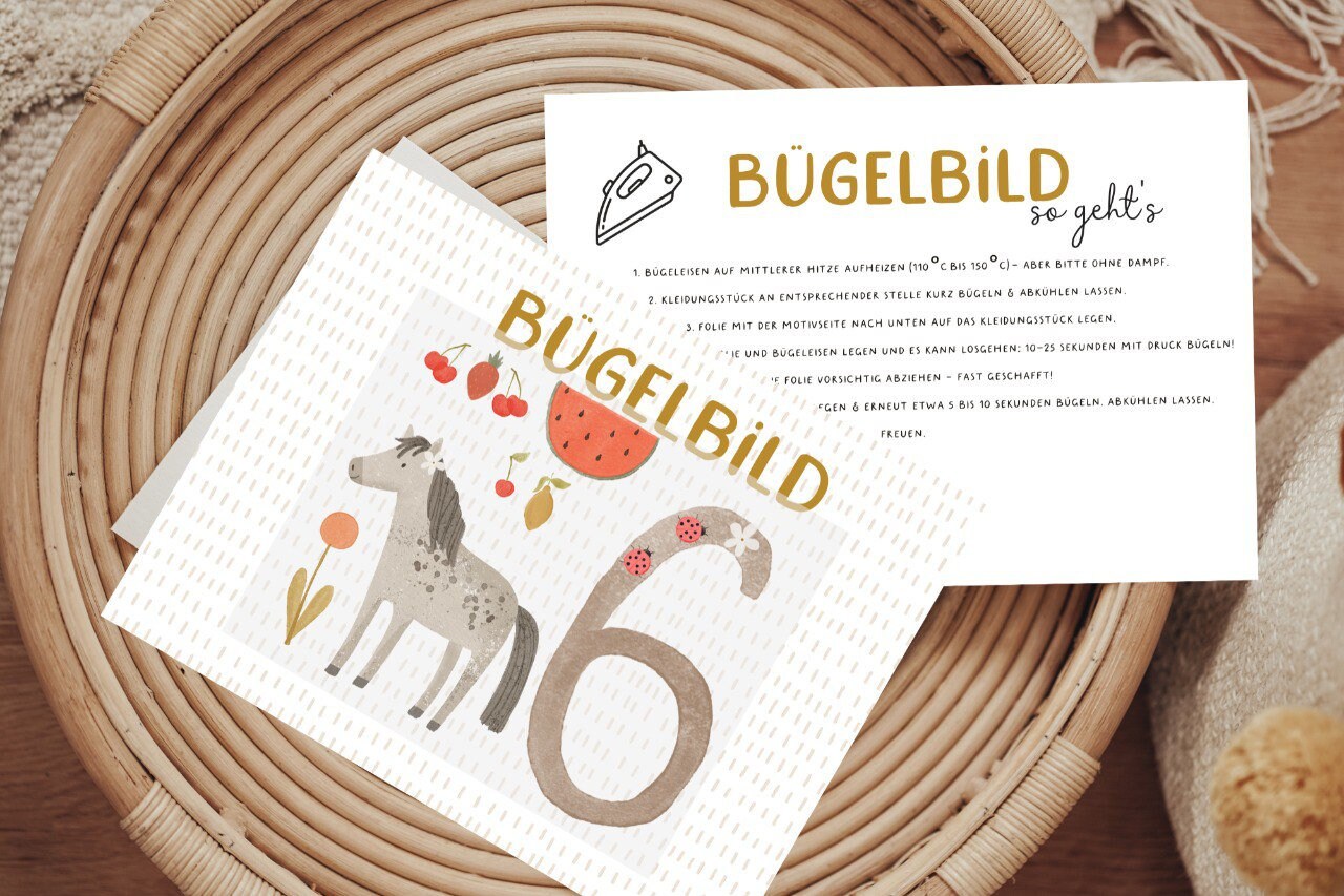 Bügelbild Geburtstagsshirt 6 Sechster Geburtstag Zahl Aufbügler Patch von Lingerei