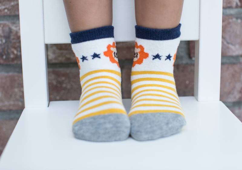 Leo Der Löwe von LinkedSocks