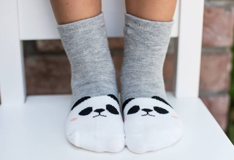 Paris Der Panda von LinkedSocks