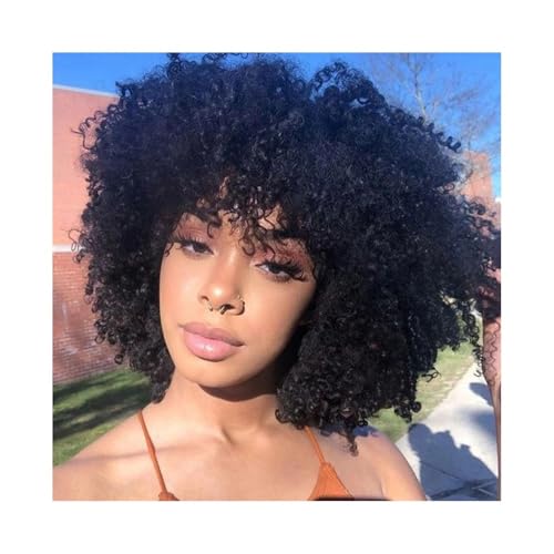 Perücke Perücken Lockige Perücken Echthaar Kurze lockige Perücke Echthaar Pixie Cut Perücken for schwarze Frauen für Frauen Natürliche Tägliche Verwendung(16inches) von Linmeas-753
