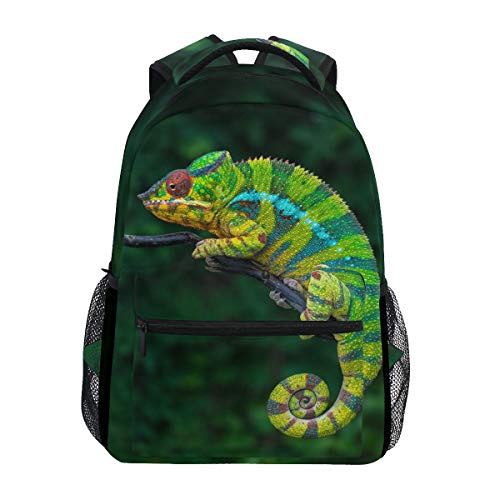 Linomo Animal Chamäleon Rucksack Daypacks Bookbag Camping Wandern Reisen Schule Schultertasche für Kinder Jungen Mädchen Männer Frauen von Linomo