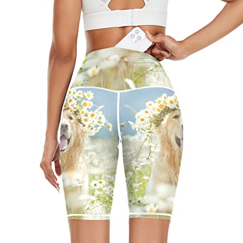 Linomo Damen Yoga Shorts Golden Retriever Yoga-Hose Kurze Sporthose Leggings Fitness Shorts Laufhose Kurze Hose von Linomo