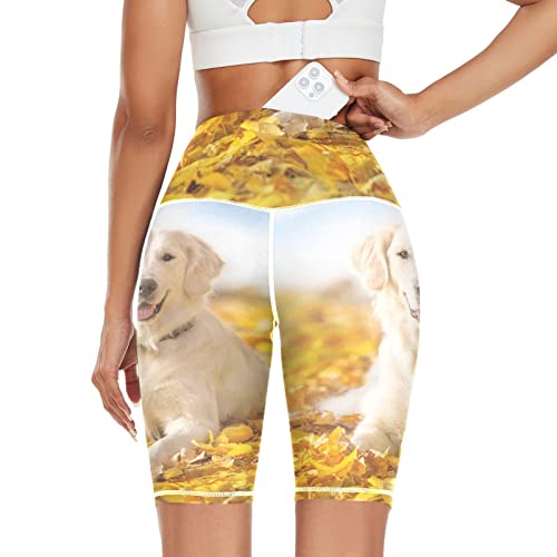 Linomo Damen Yoga Shorts Süß Tier Hund Yoga-Hose Kurze Sporthose Leggings Fitness Shorts Laufhose Kurze Hose von Linomo