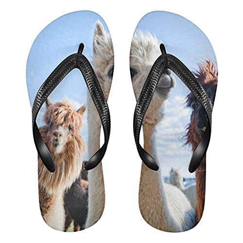 Linomo Herren Damen Zehentrenner Lama Alpaka Flip Flops Badelatschen Casual Sandalen Sommer Strand Hausschuhe von Linomo