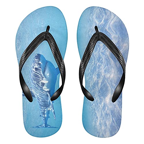 Linomo Herren Damen Zehentrenner Meer Tier Hai Flip Flops Badelatschen Casual Sandalen Sommer Strand Hausschuhe von Linomo