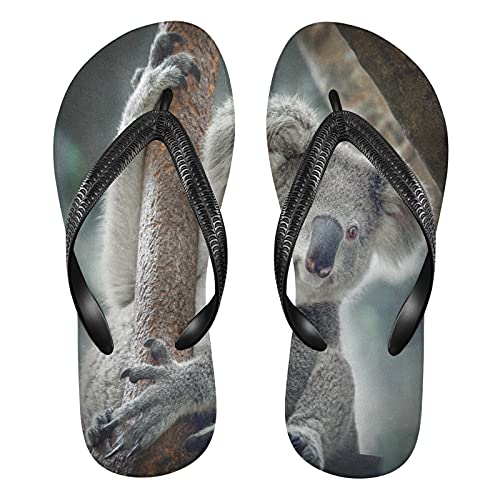 Linomo Herren Damen Zehentrenner Süß Tier Koala Flip Flops Badelatschen Casual Sandalen Sommer Strand Hausschuhe von Linomo