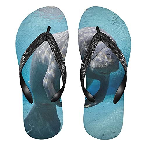 Linomo Herren Damen Zehentrenner Tier Meer Kuh Seekuh Flip Flops Badelatschen Casual Sandalen Sommer Strand Hausschuhe von Linomo