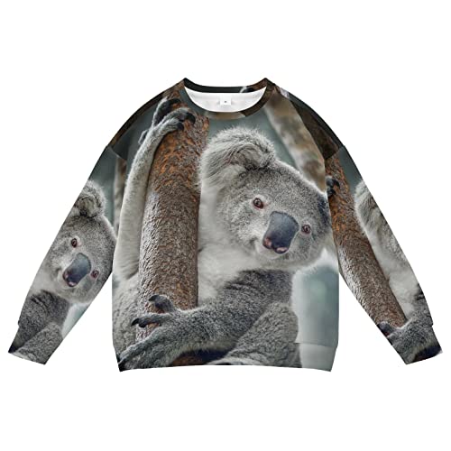 Linomo Kids Sweatshirt Süß Tier Koala Langarmshirts Kinder Langarm Tops Rundhals T-Shirt Pullover für Jungen Mädchen von Linomo