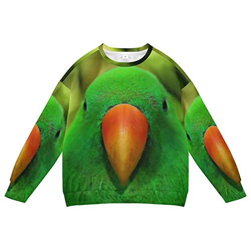 Linomo Kinder Sweatshirt Tropischer Papagei Tier Vogel Langarm Tops Rundhals Pullover T-Shirt Pullover für Jungen Mädchen, mehrfarbig, 5 Jahre von Linomo