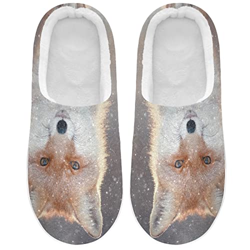 Linomo Winter Süß Fuchs Hausschuhe für Unisex Damen Männer Hausschuhe Wärme Drinnen Hausschuhe Schlafzimmer Schuh von Linomo