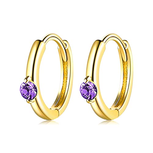 Lirzxin Ohrringe Gold 14 Karat 585, Creolen Damen Kreis mit Rund Amethyst Lila Ohrringe Hochzeit für Frauen Gelbgold von Lirzxin