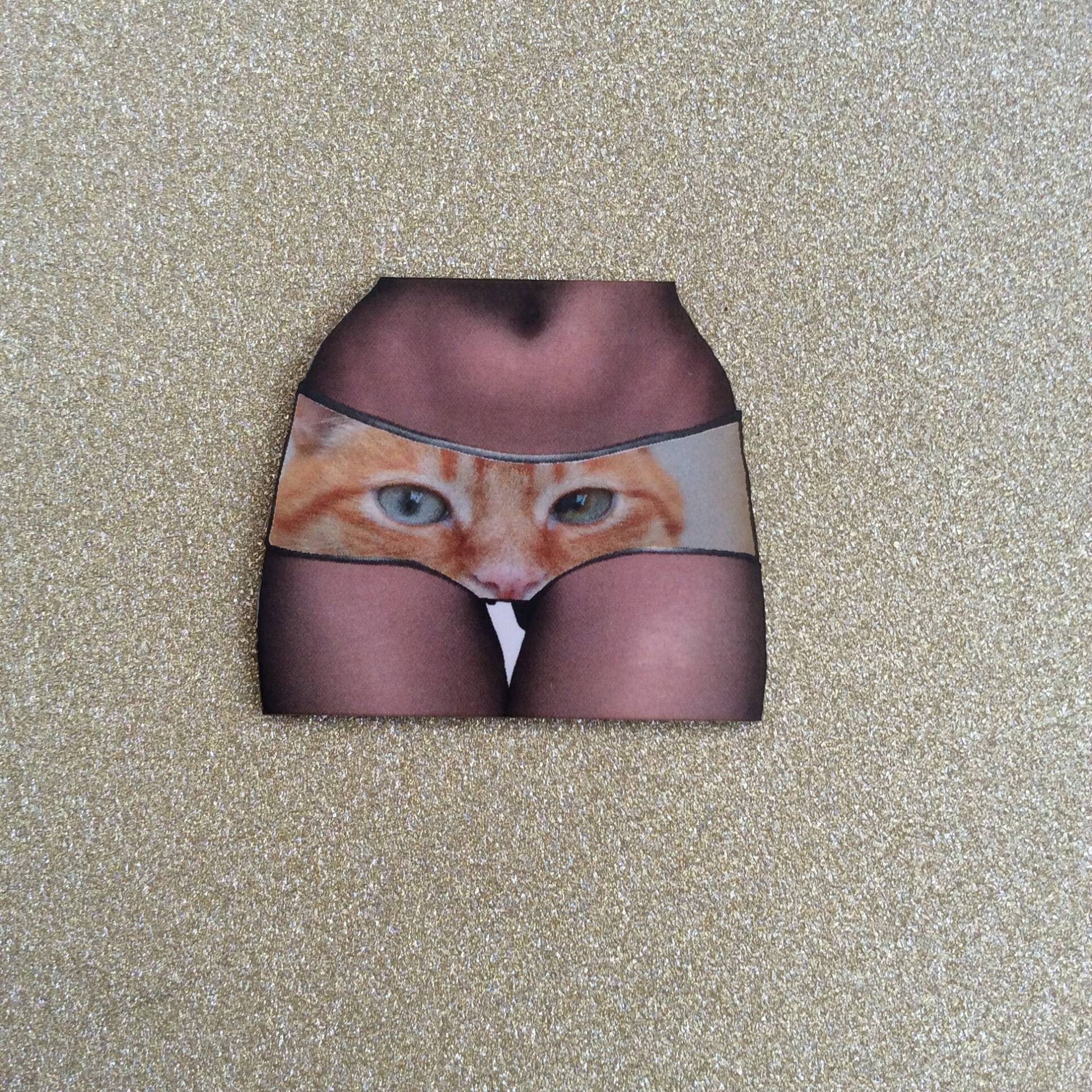 Ingwer Katze Pin/Katze Aussage Kunst Schmuck/Abzeichen /Katze Auf Hose Anhänger Risqué Tier Anhänger/statement Ingwer Katze Pin/Katze Aussage Kunst Schmuck/Abzeichen /Katze Auf Hose Anhänger Risqué Tier Anhänger/statement von LisaJanesGifts