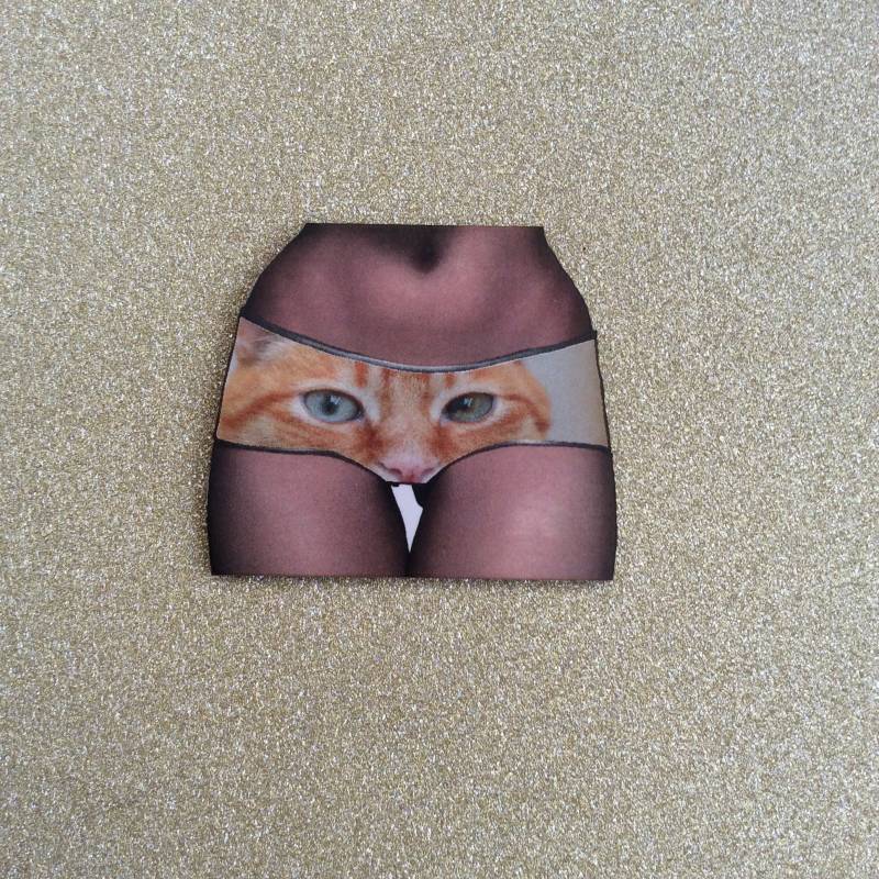 Ingwer Katze Pin/Katze Aussage Kunst Schmuck/Abzeichen /Katze Auf Hose Anhänger Risqué Tier Anhänger/statement Ingwer Katze Pin/Katze Aussage Kunst Schmuck/Abzeichen /Katze Auf Hose Anhänger Risqué Tier Anhänger/statement von LisaJanesGifts