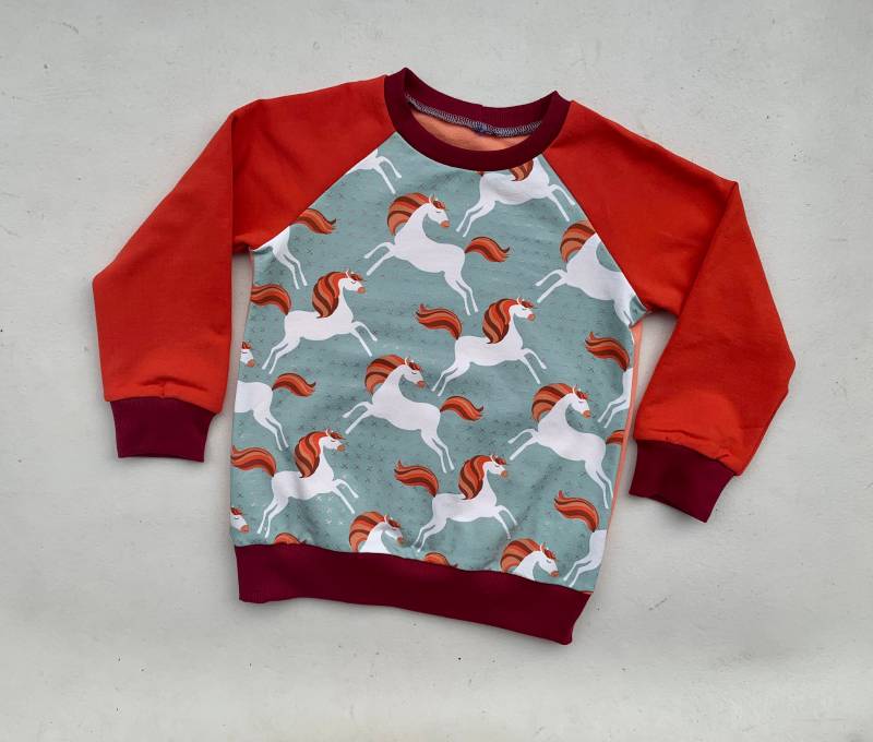 Pullover Für Mädchen Patricia Sweatshirt Gr. 110 von Lisbeth2015