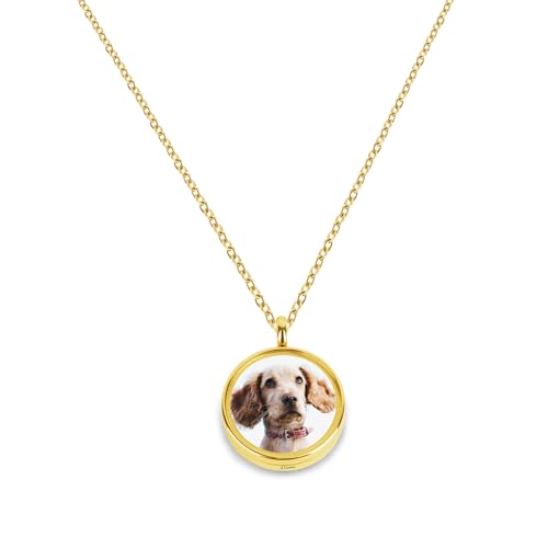 Liskanap Personalisiert Haustiere Urne Medaillon Halskette mit Foto Text Name Hund und Katze Tierhaar Anhänger Kette für Asche Haustier Verlust Andenken Geschenke Gedenken Memorial Edelstahl (Gold) von Liskanap