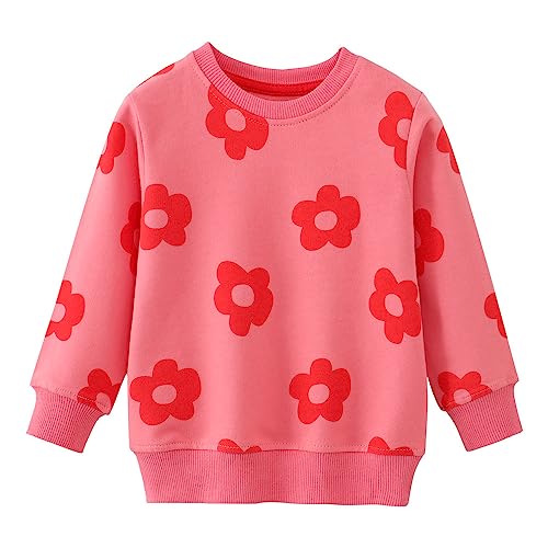 LitBud Pullover Mädchen Blume Sweatshirt für Kleinkind Kleidung Top Langarm Jumper Rundhals T Shirt Herbst Winter für Kinder Größe 3-4 Jahre 4T Weihnachten Geschenke von LitBud