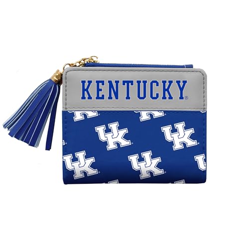 Littlearth Kentucky Wildcats NCAA Mini Organizer von Little Earth Productions