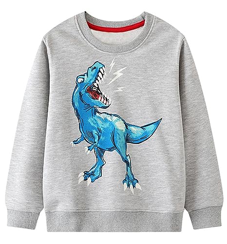 Little Hand Jungen Pullover Kinder Sweatshirt Dinosaur Jumper Sweater Baumwolle Langarm T Shirts 92 von Little Hand