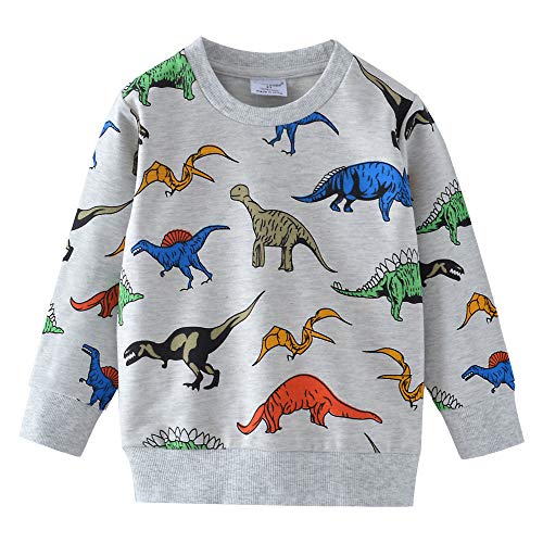 Little Hand Jungen Sweatshirt Jumper für Kinder Sweater Dinosaur Baumwolle Langarm T Shirts Pullover (2-Dinosaurier 122) von Little Hand