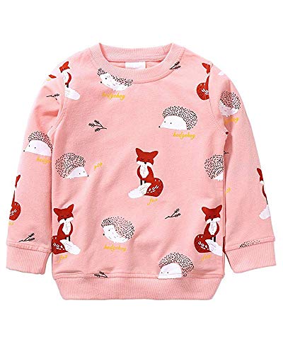 Weihnachten Mädchen Sweatshirt für Kinder Baumwolle Top Casual Jumper Mädchen T Shirt Kleinkind Kleidung Langarm Pullover Winter Frühling (1-rosa,116) von Little Hand