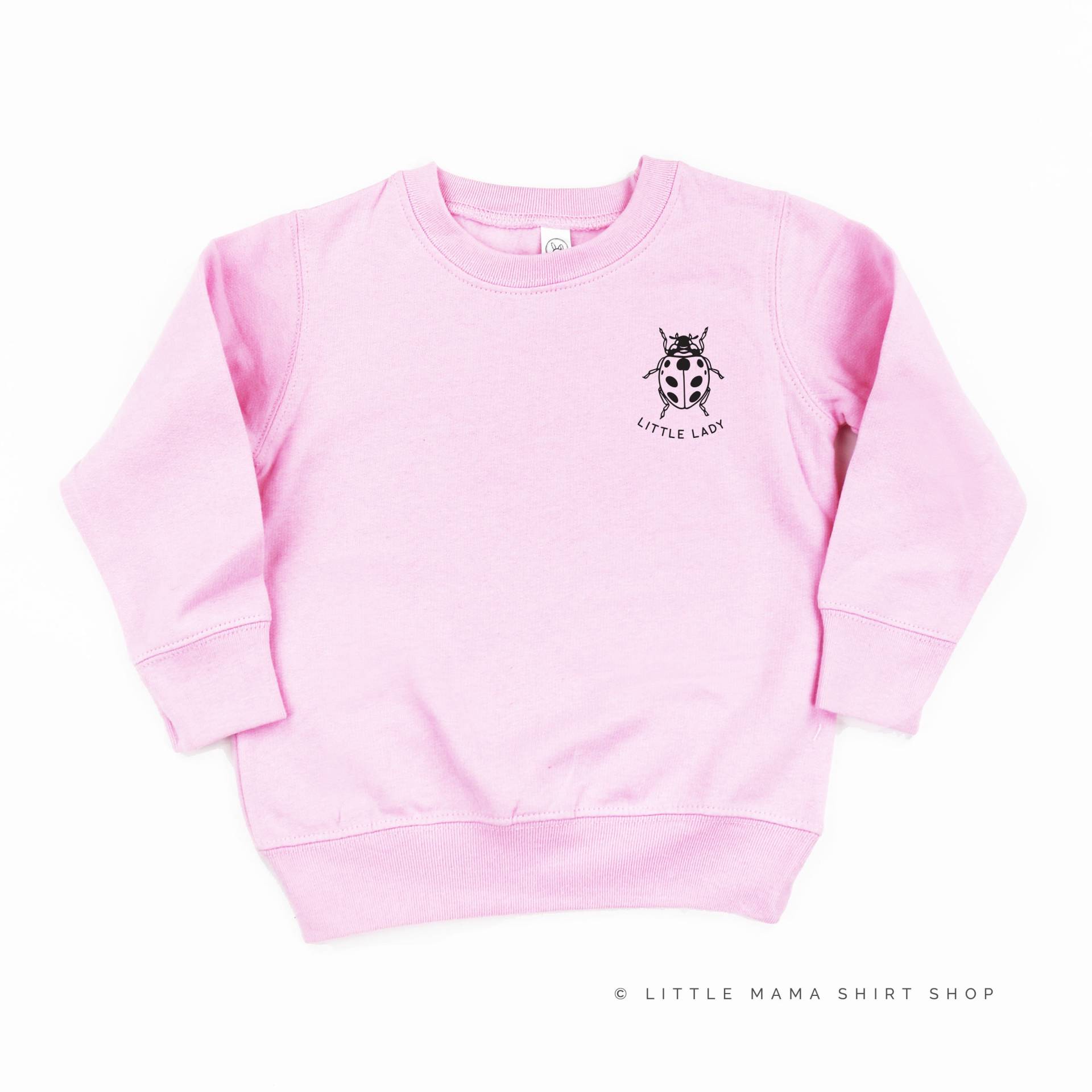 Little Lady - Lady Bug | Kinderpullover Kinderpullover Käferpullover Insektenpullover Kleinkind Sweatshirt Natur Pullover Little Lady - Lady Bug | Kinderpullover Kinderpullover Käferpullover Insektenpullover Kleinkind Sweatshirt Natur Pullover von LittleMamaShirtShop
