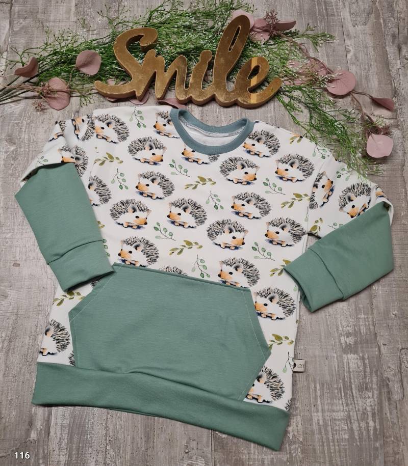 Sweatshirt Sweater Pullover Hoodie Igel Mädchen Jungen Unisex Größe 116 von LittleMilea
