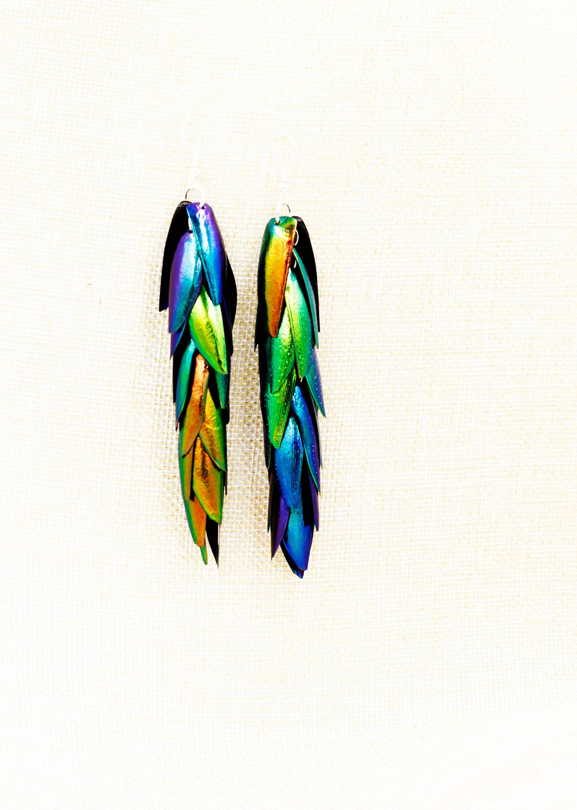 1 Paar Echte Schillernde Regenbogen & Reverse Juwel Elytra Käfer Insekt Flügel Tropfen Baumeln Ohrringe Elegant Bunt Der Natur von Littlewingsmagic
