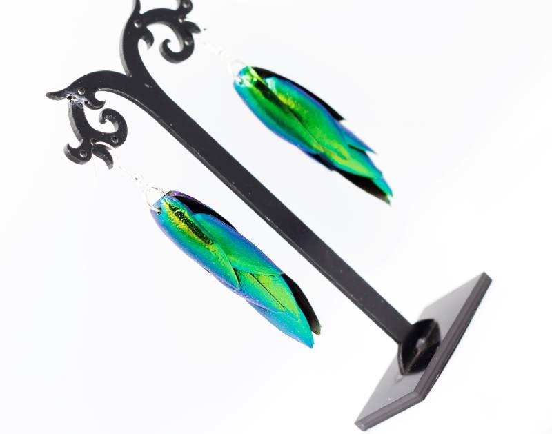 Echte Gelblich Grün Blaue Juwel Elytra Käfer Flügel Tropfen Baumeln Ohrringe 3 "Lang Elegant Bunt Der Natur Echte Gelblich Grün Blaue Juwel Elytra Käfer Flügel Tropfen Baumeln Ohrringe 3 "Lang Elegant Bunt Der Natur von Littlewingsmagic