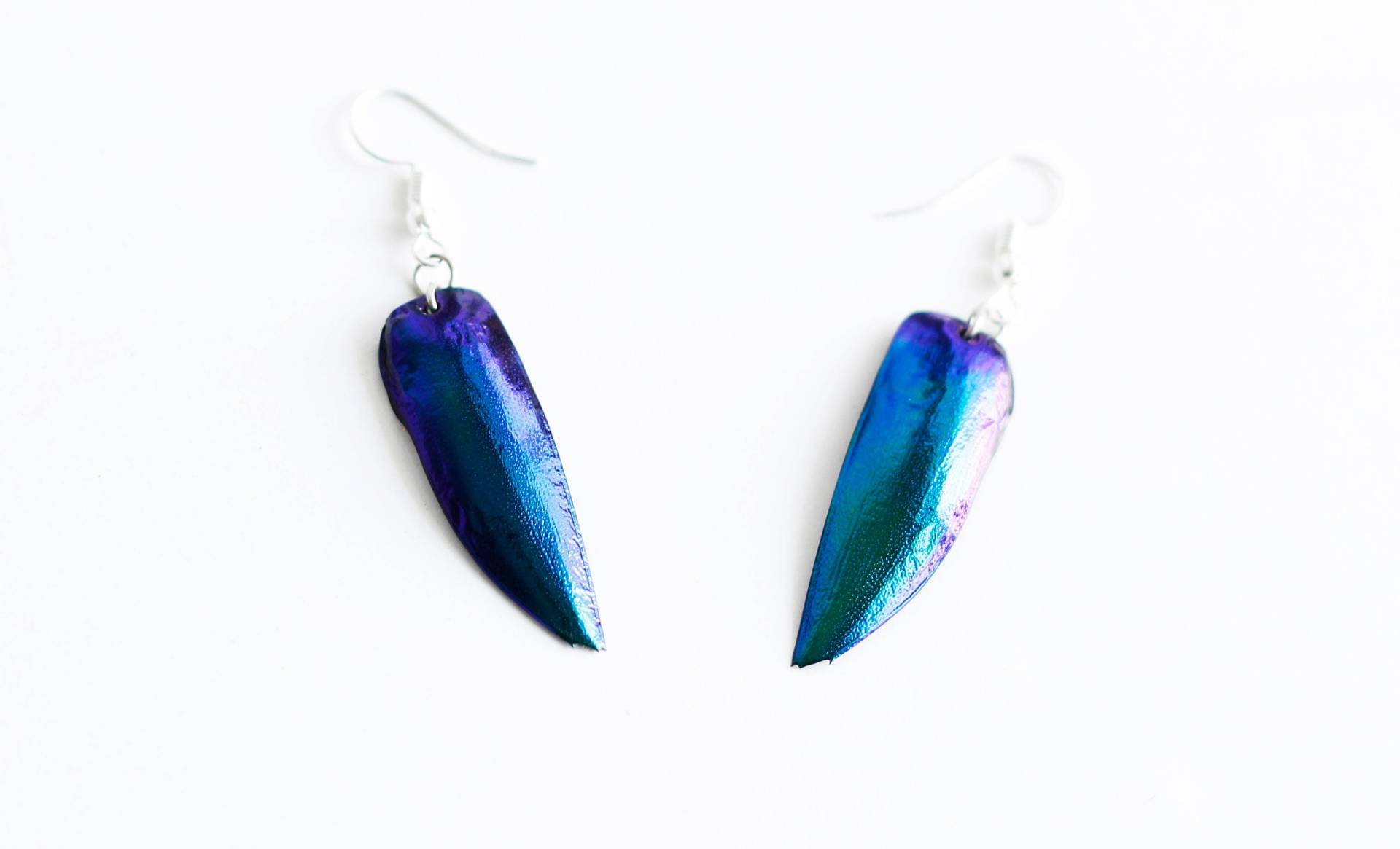 Echte Seltene Irisierende Blau Juwel Käfer Flügel Tropfen Baumeln Haken Ohrringe Leichte Natürliche Kunst Thai Handwerk Elegant Bunt Der Natur von Littlewingsmagic