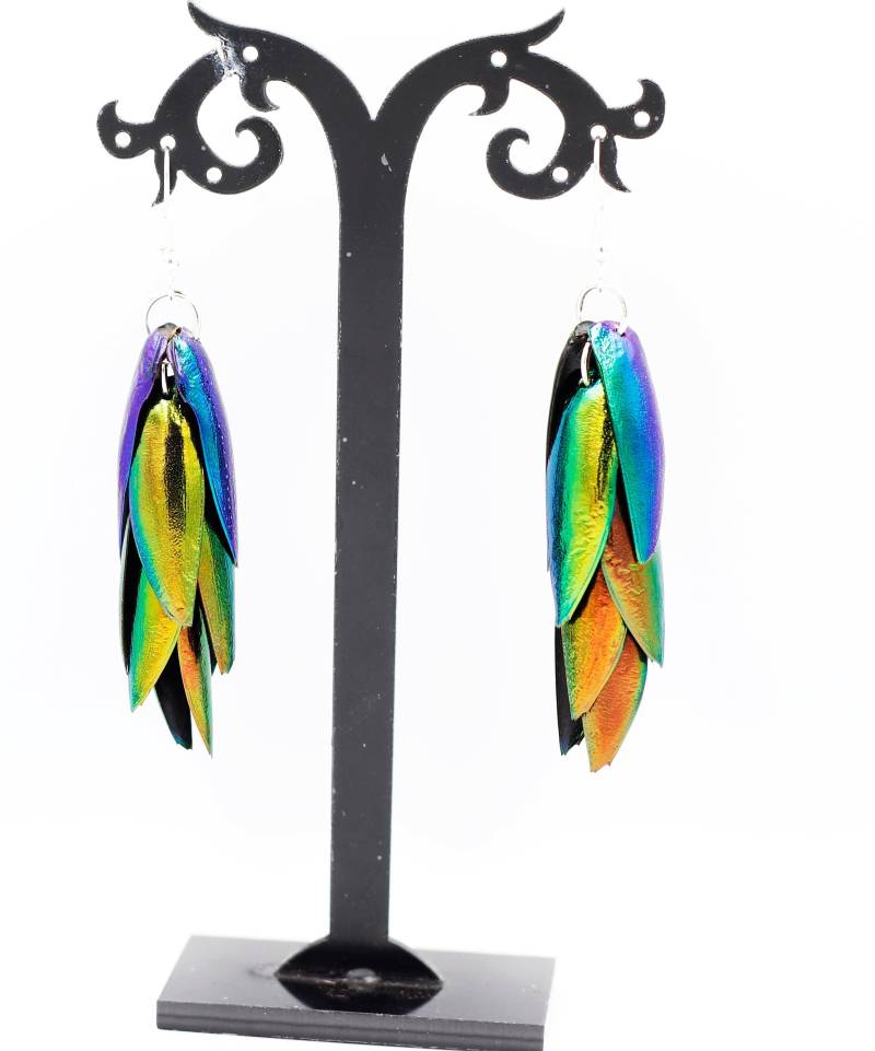 Hellen Schillernden Regenbogen Smaragd, Grün, Blau, Golden Red Juwel Elytra Käfer Flügel Tropfen Baumeln Ohrringe Elegant Bunt Der Natur Hellen Schillernden Regenbogen Smaragd, Grün, Blau, Golden Red Juwel Elytra Käfer Flügel Tropfen Baumeln Ohrringe Elegant Bunt Der Natur von Littlewingsmagic