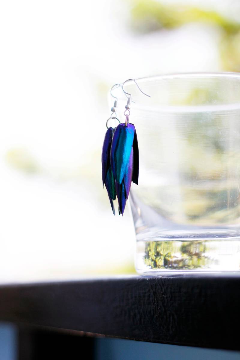 Seltene Echte Iridescence Smaragd Grün Blau Juwel Elytra Käfer Tropfen Ohrringe Natürliche Kunst Thai Handarbeit Elegant Bunt Der Natur Seltene Echte Iridescence Smaragd Grün Blau Juwel Elytra Käfer Tropfen Ohrringe Natürliche Kunst Thai Handarbeit Elegant Bunt Der Natur von Littlewingsmagic