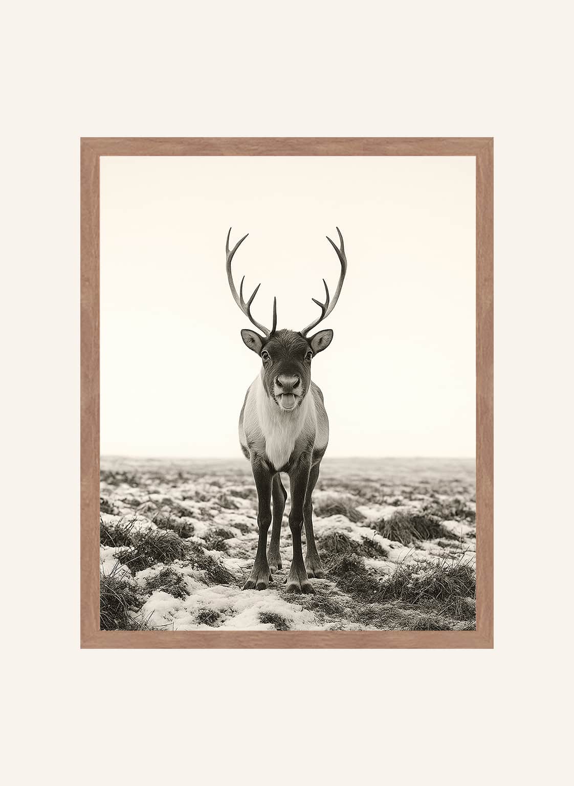 Liv Corday Wandbild Freches Rentier Mit Rahmen braun von Liv Corday