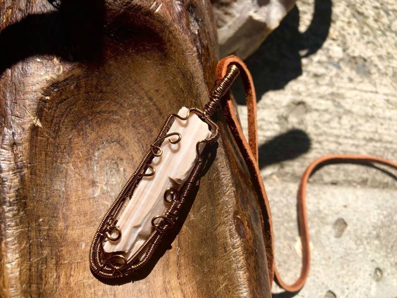 Agatized Versteinertes Holz ~Baumkönigin Agatized Versteinertes Holz ~Baumkönigin von LiveLoveCrystalShop