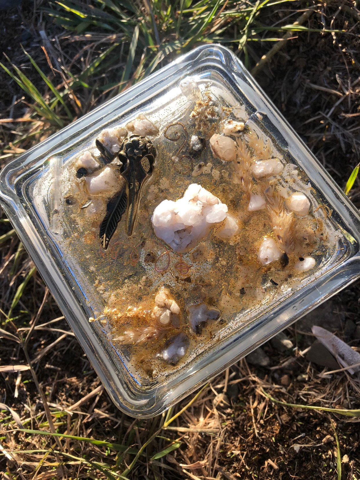 xl Messing Vogelschädel Schutzheilkristallglas xl Messing Vogelschädel Schutzheilkristallglas von LiveLoveCrystalShop