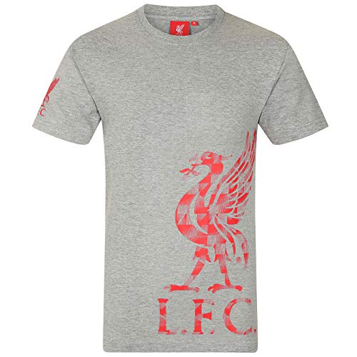 Liverpool FC - Herren T-Shirt mit Printmotiv - Offizielles Merchandise - Grau mit Logo auf dem Ärmel - XL von Liverpool FC