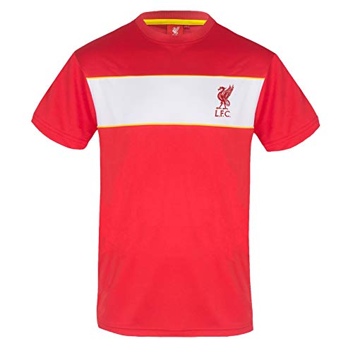 Liverpool FC - Herren Trainingstrikot aus Polyester - offizielles Merchandise - Geschenk für Fußballfans - Rot mit weißem Streifen - L von Liverpool FC