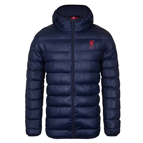 Liverpool FC - Herren Winter-Steppjacke mit Kapuze - Offizielles Merchandise - Geschenk für Fußballfans - Dunkelblau - L von Liverpool FC