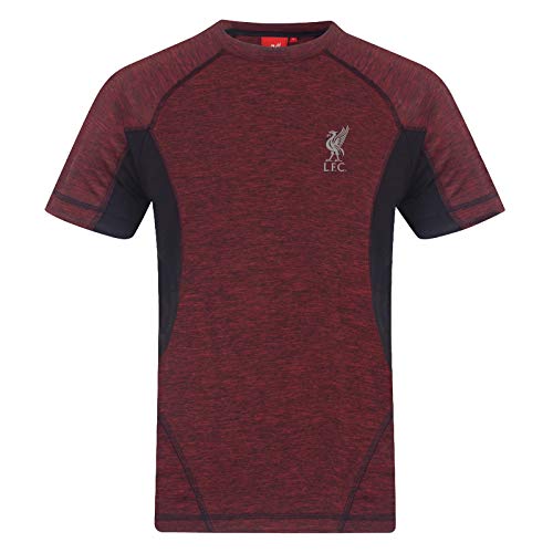 Liverpool FC - Jungen Trainingstrikot - Offizielles Merchandise - Rot meliert - 4-5 Jahre von Liverpool FC