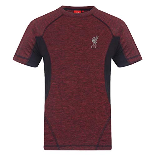 Liverpool FC - Jungen Trainingstrikot - Offizielles Merchandise - Rot meliert - 6-7 Jahre von Liverpool FC