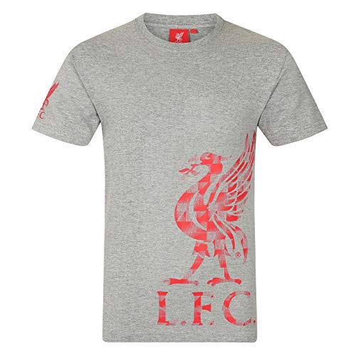 Liverpool FC - Kinder T-Shirt mit Grafik-Print - Offizielles Merchandise - Geschenk für Fußballfans - Grau - 12-13 Jahre von Liverpool FC